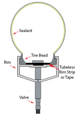A Tubeless Tire Cross-Section.