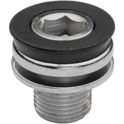 Race Face M12 bolt for Respond, Chester and Ride DH